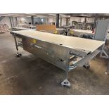 STRAIGHT SECTION OF CONVEYOR
