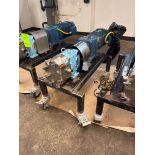 2018 10 HP POSITIVE DISPLACEMENT PUMP