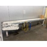 STRAIGHT SECTION OF CONVEYOR