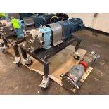 2016 10 HP POSITIVE DISPLACEMENT PUMP