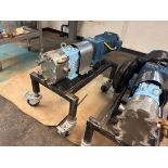 2016 SPX 10 HP POSITIVE DISPLACEMENT PUMP