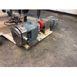 DURREX APROX. 2 HP PUMP