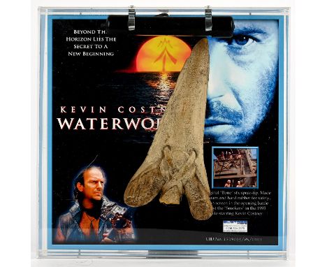 Waterworld (1995)  Prop Bone sfx spear tip (made from foam and hard rubber). Seen on screen during opening battle with the Sm