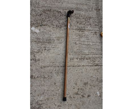 A VINTAGE WOODEN WALKING STICK WITH DOG HEAD HANDLE 