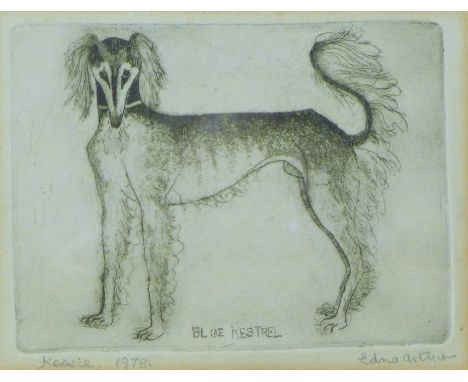ARTHUR, EDNA (21st century) British (AR), "Blue Kestrel", etching, signed and dated 1978, framed and glazed. 15 x 9 cm.