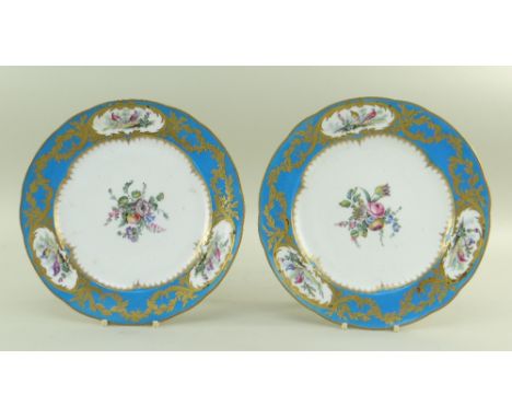 TWO SEVRES-STYLE BLEU CELESTE PORCELAIN PLATES, 19th Century, centres painted with sprays of flowers and fruit, borders with 