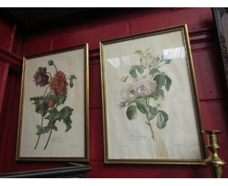 A pair of Italian gilt botanical prints;poppies and roses, 52cm x 35cm