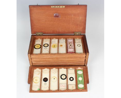 A collection of sixty microscope specimen slides, late Victorian and later, including entomological, botanical and biological