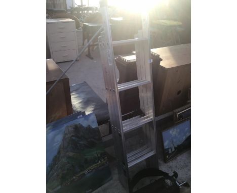 A TWELVE RUNG THREE SECTION ALLOY LADDER 