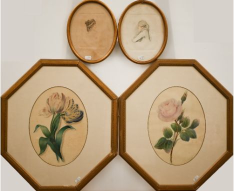 A pair of watercolour botanical studies of roses and tulips, signed S A Martin, 29 x 22 cm to/w two small portrait prints (4)