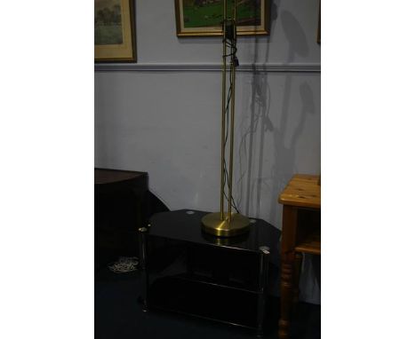 TV stand and a standard lamp
