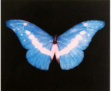 Damien Hirst, (b.1965), Blue butterfly, framed print, signed in pencil, paper dimensions 16" x 17.5", image dimensions 9.5" x