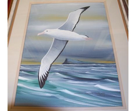 Harrison - Gentoo Penguin - Antartica, and Waldring Albatross - Cape Horn, pair, gouache, each signed and dated '91 lower rig
