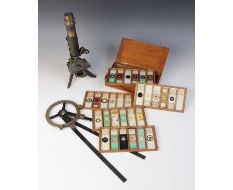 A collection of thirty five microscope specimen slides, late 19th century, most prepared by Moritz Pillischer, to include ski