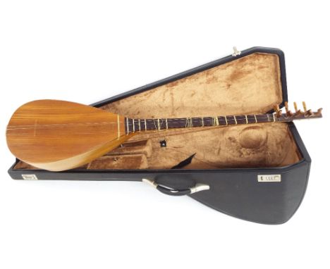 Eastern nine string lute type instrument, hard case