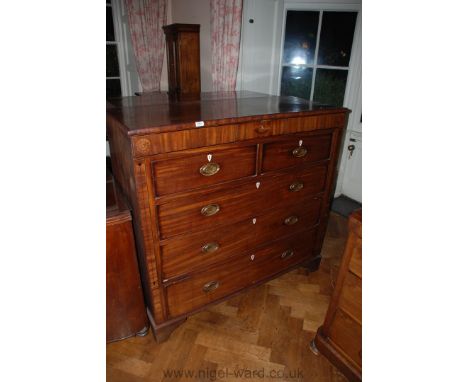 A large 19th c. Mahogany Chest of two short over three long Drawers, with brass handles having brass back plates, decorative 