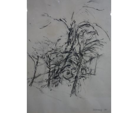 J. B. Hinley, 'Copse', charcoal and pencil drawing, signed and dated 1961 in pencil to lower right, 31 x 29cm 