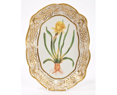 Early 19th century English dessert dish finely painted with Narcissus within gilt and moulded grapevine border, entitled on r