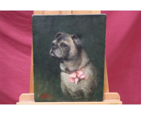 Early 20th century English School oil on canvas - portrait of a Pug wearing a pink bow, indistinctly signed, unframed, 41cm x
