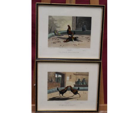Set of six hand-coloured engravings by N. Fielding - Cock Fighting plates, published by R. Ackermann 1853, in glazed frames, 
