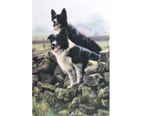 Steven Townsend (Contemporary) "Rarin' To Go", a study of two Border Collies poised atop a dry stone wall, limited edition pr