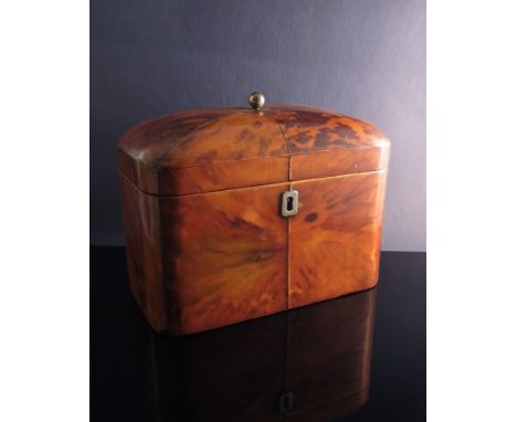 A 19th Century domed top tortoiseshell tea caddy 