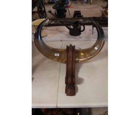 A pair of vintage bulls horns, mounted to a mahogany scrolled bracket 