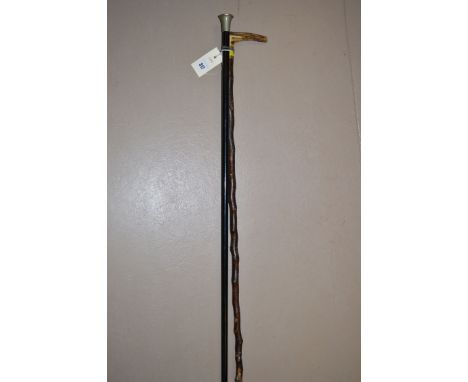 A horn handle walking stick; and an ebony walking cane.