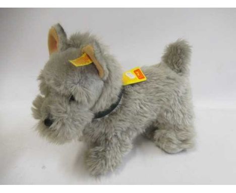 Steiff Junior Raudi Scottie dog, with leather nose, leatherette collar, ear label and button, 13" nose to tail (Est. plus 24%