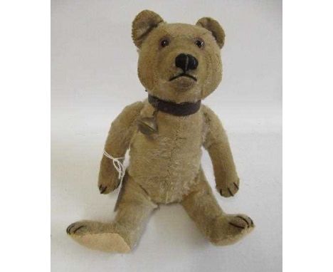 An old Steiff teddy bear, with glass eyes, later sewn nose, light plush, felt pads and leather collar with bell, 9 1/4" long 