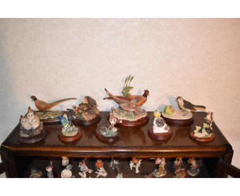 BORDER FINE ARTS; five animal groups comprising B1019 'Stepping Out', B0022 'Blue Tit', a group of a wren by Ayres, a model o