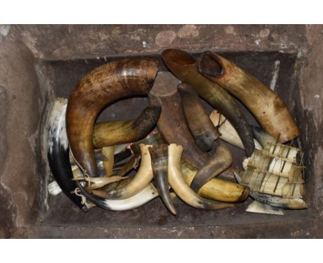 An assortment of bovine horn and horn fragments (quantity).PROVENANCE: The Raymond Rush Collection. Mr Rush was an engineer, 