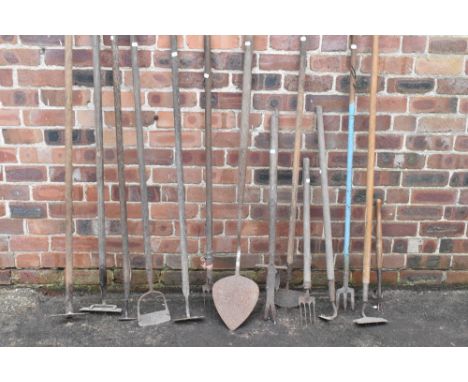 A collection of thirteen agricultural and garden tools, including hoes, a turf spade, and other items. PROVENANCE: The Raymon