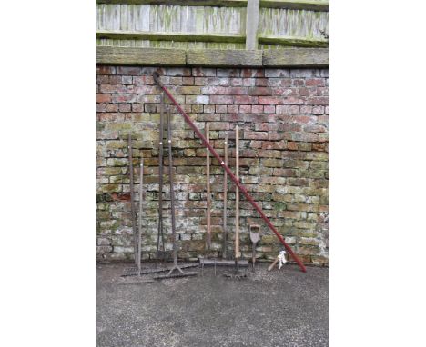 A collection of nine vintage agricultural and garden tools, including a long armed lopper, six rakes, a pikel and a dibber.PR