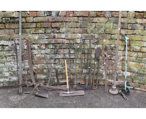 A collection of nineteen vintage iron working and agricultural tools including a large pair of iron cutters, two pairs of pin