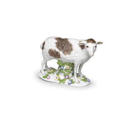 A large Meissen model of a sheep, circa 1750Standing on a mound base applied with leaves and flowers, its head turned to the 