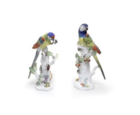 A pair of Meissen models of parrots, circa 1967After the models by J.J. Kaendler, each perched on a tree-stump with a fruit i