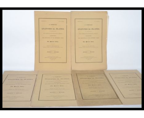 A series of anatomical plates in lithography with references and physiological documents illustrating the structure of the di