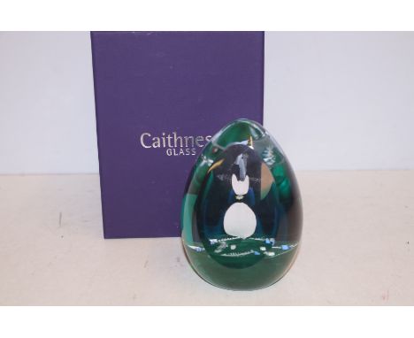 Caithness glass oversize paperweight with box limited edition fishy business 4/100