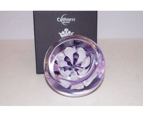 Caithness glass oversize paperweight with box limited edition 4/150