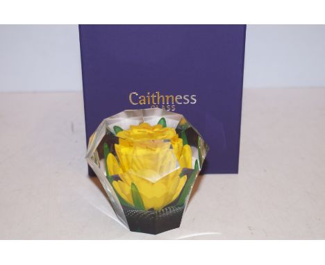 Caithness glass oversize paperweight with box limited edition spring magic 2/100