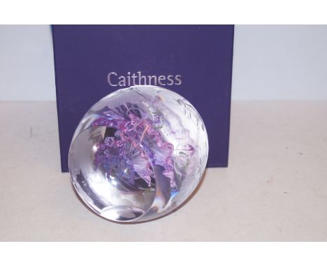 Caithness glass oversize paperweight with box limited edition sweet pea summer 5/75