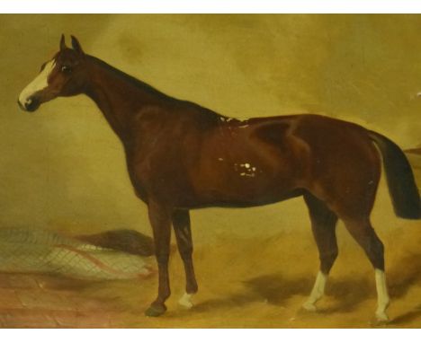 19th.C.ENGLISH SCHOOL.   PORTRAIT OF A HORSE, OIL ON CANVAS.   45 x 61cms.