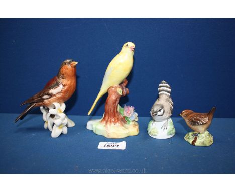 Four models of birds including Goebel, Crown Staffordshire, Raybur and Beswick Wren (a/f)