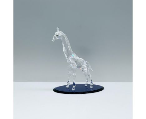 A gem from Swarovski's African Wildlife collection, this sparkling clear crystal baby giraffe stands tall with a frosted mane