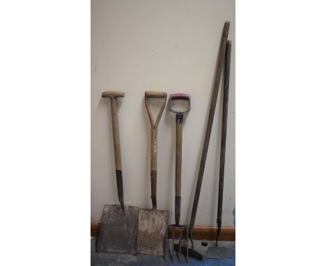 A Collection of Garden Tools 