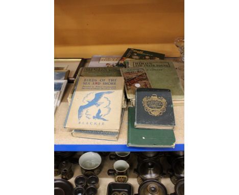 A COLLECTION OF VINTAGE BOOKS TO INCLUDE 'BIRDS AND THEIR YOUNG' BY T A COWARD, 'BIRDS ONE SHOULD KNOW' BY REV. CANON THEODOR