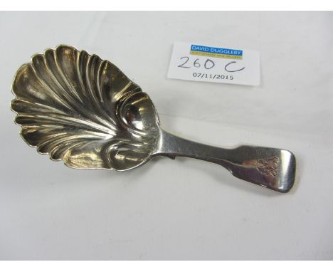 William IV silver caddy spoon by William Knight London 1835
