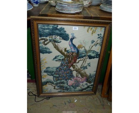 A framed and glazed tapestry picture of a peacock on a branch, 19" wide x 25" high excluding frame.
