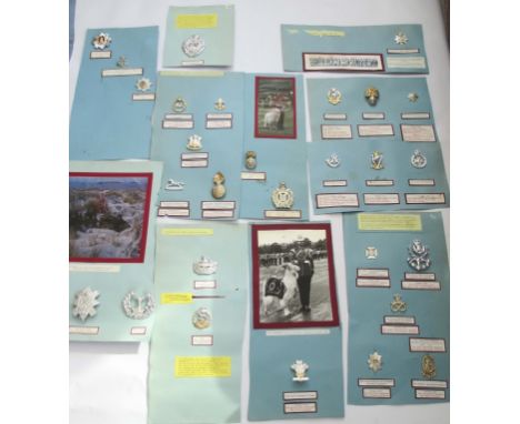 29 BRITISH ARMY STAYBRITE CAP BADGES Post amalgamation anodised cap badge lot of 29. All identified.